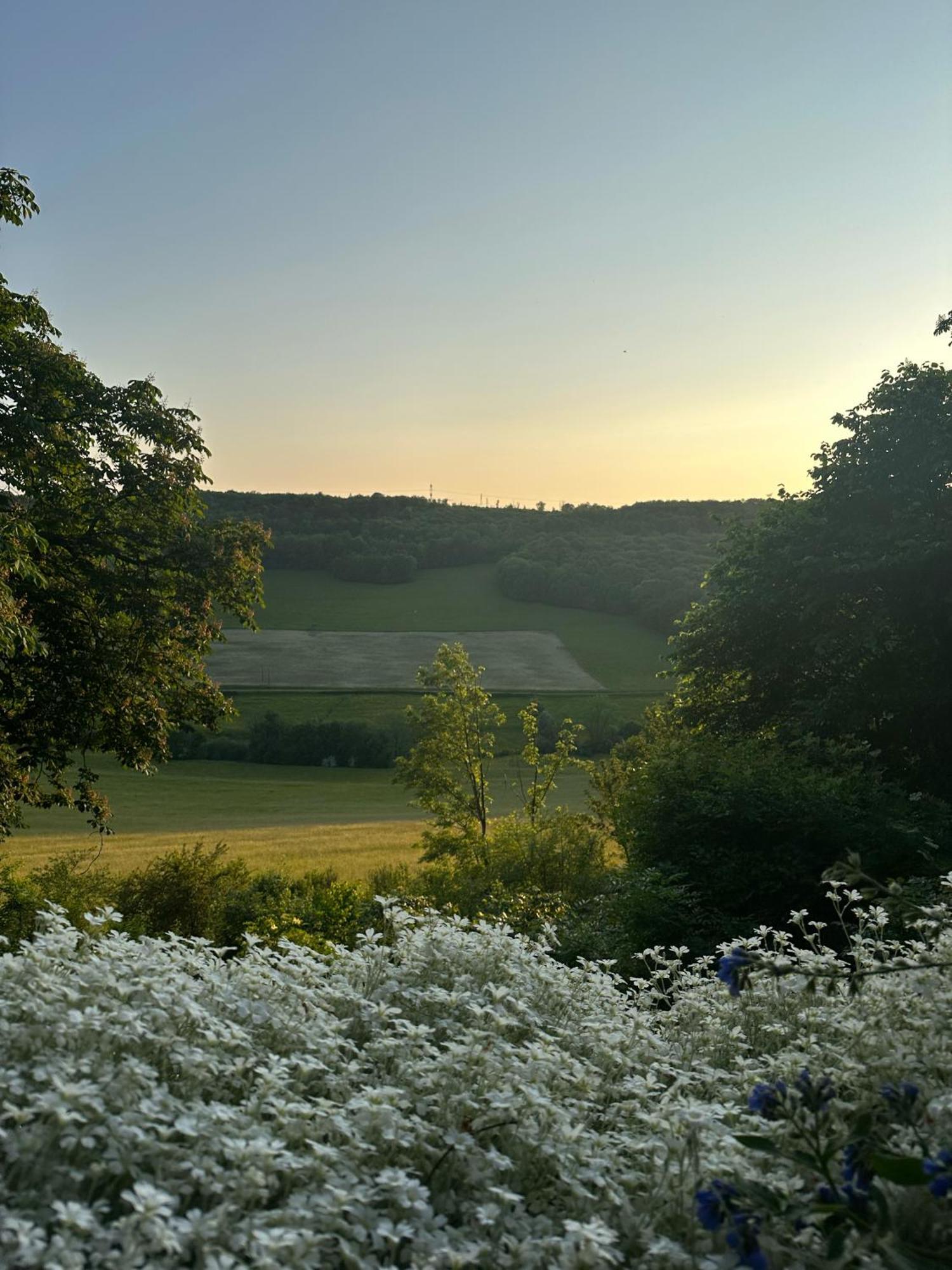 Chateau De Champrenault, Voyagez Dans Le Temps Exterior foto