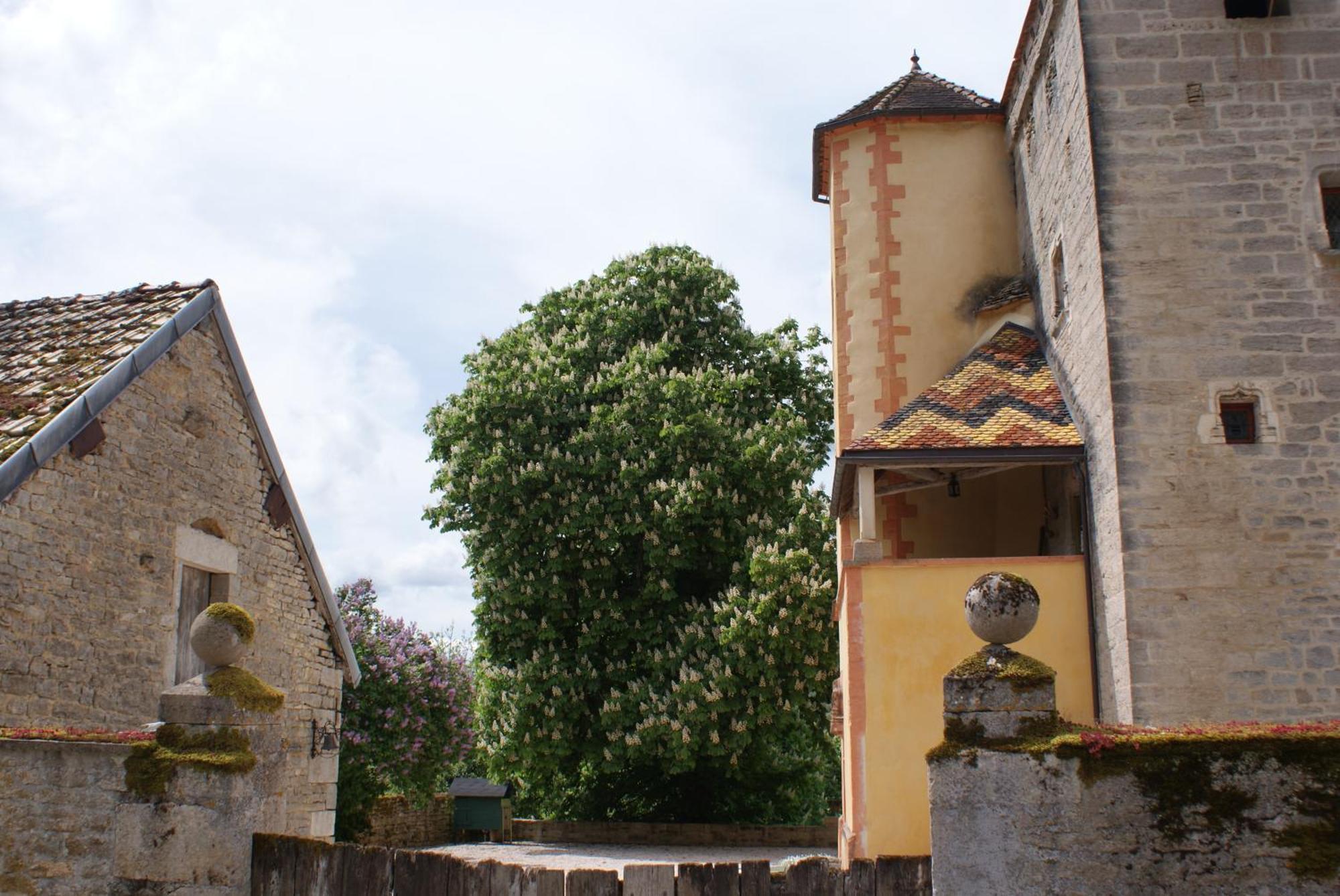 Chateau De Champrenault, Voyagez Dans Le Temps Exterior foto